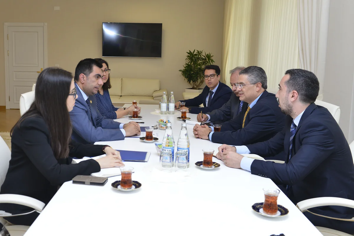 Elmar Qasımov Meksika Neft İnstitutunun baş direktoru ilə görüşüb