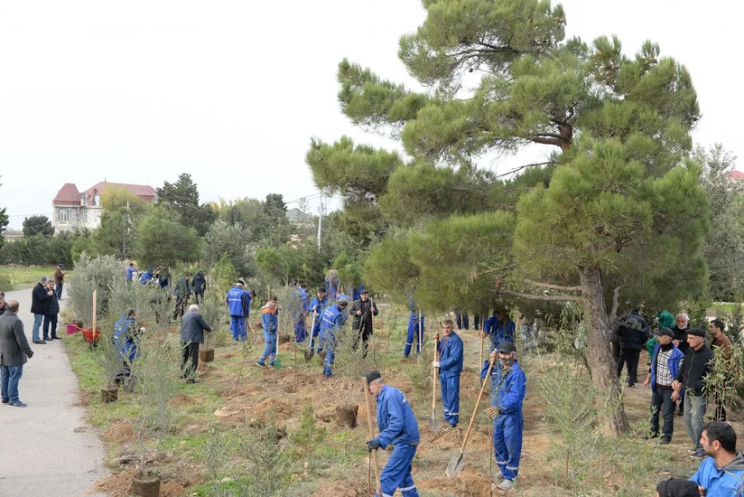 Bakıda Yeni illə bağlı iməclik keçiriləcək