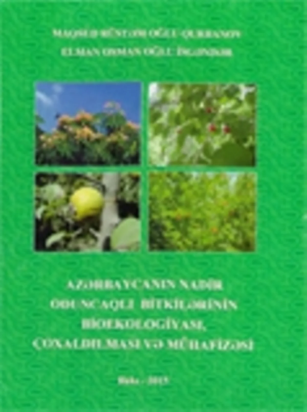 ​Azərbaycan ərazisində 43 növ nadir və nəsli kəsilməkdə olan oduncaqlı bitki var