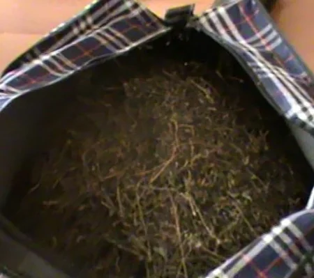 Gəncədə keçmiş məhkumdan narkotik götürülüb