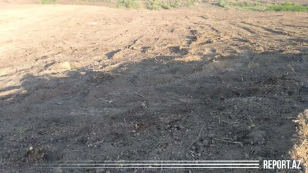 Azərbaycanda ikinci ağıllı bağ salınır