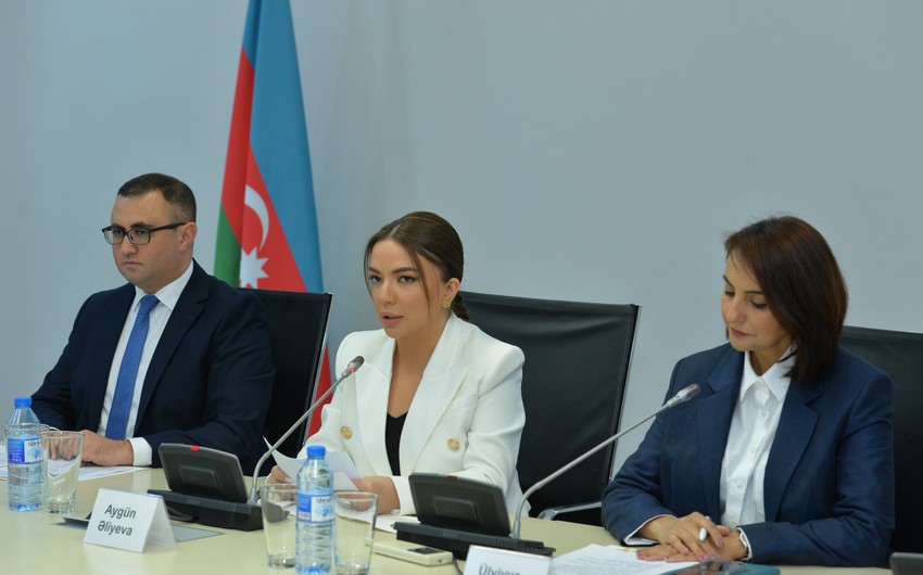 Bakıda Qlobal Cənub QHT Platformasının təsis konfransı keçiriləcək