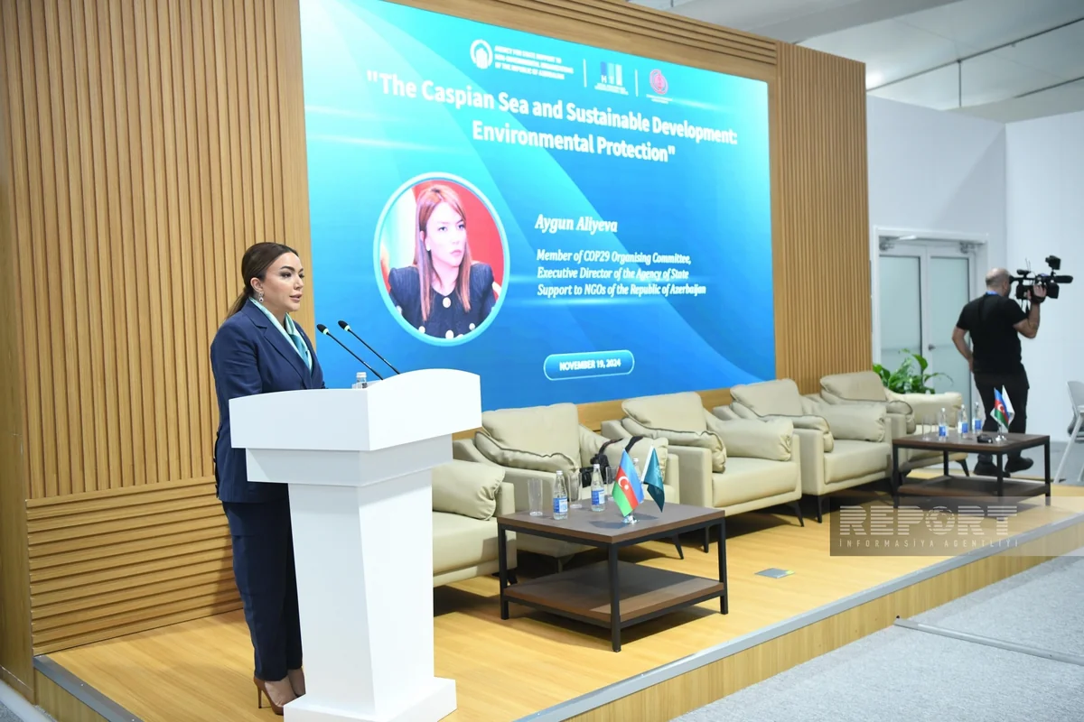 Aygün Əliyeva: Xəzər dənizindəki problem ondan asılı olan milyonlarla insanı təhdid edir