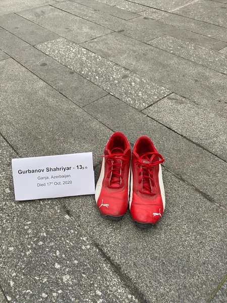 Çexiyadakı soydaşlarımız erməni vandalizminə etiraz ediblər