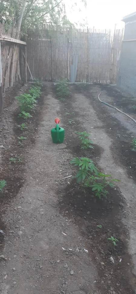 Ağdamda polis əməliyyat keçirib, qardaşlar saxlanılıb