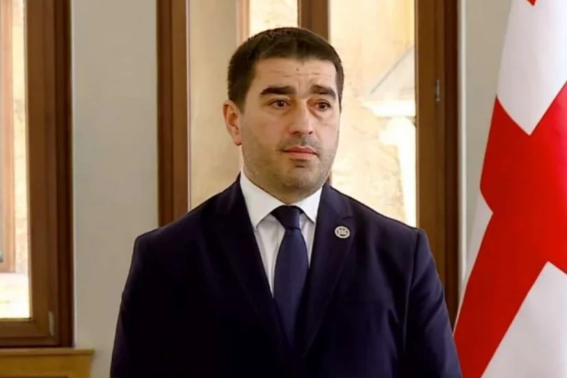 Грузинский спикер ответил на угрозы сенаторов США изменить политику в отношении Тбилиси