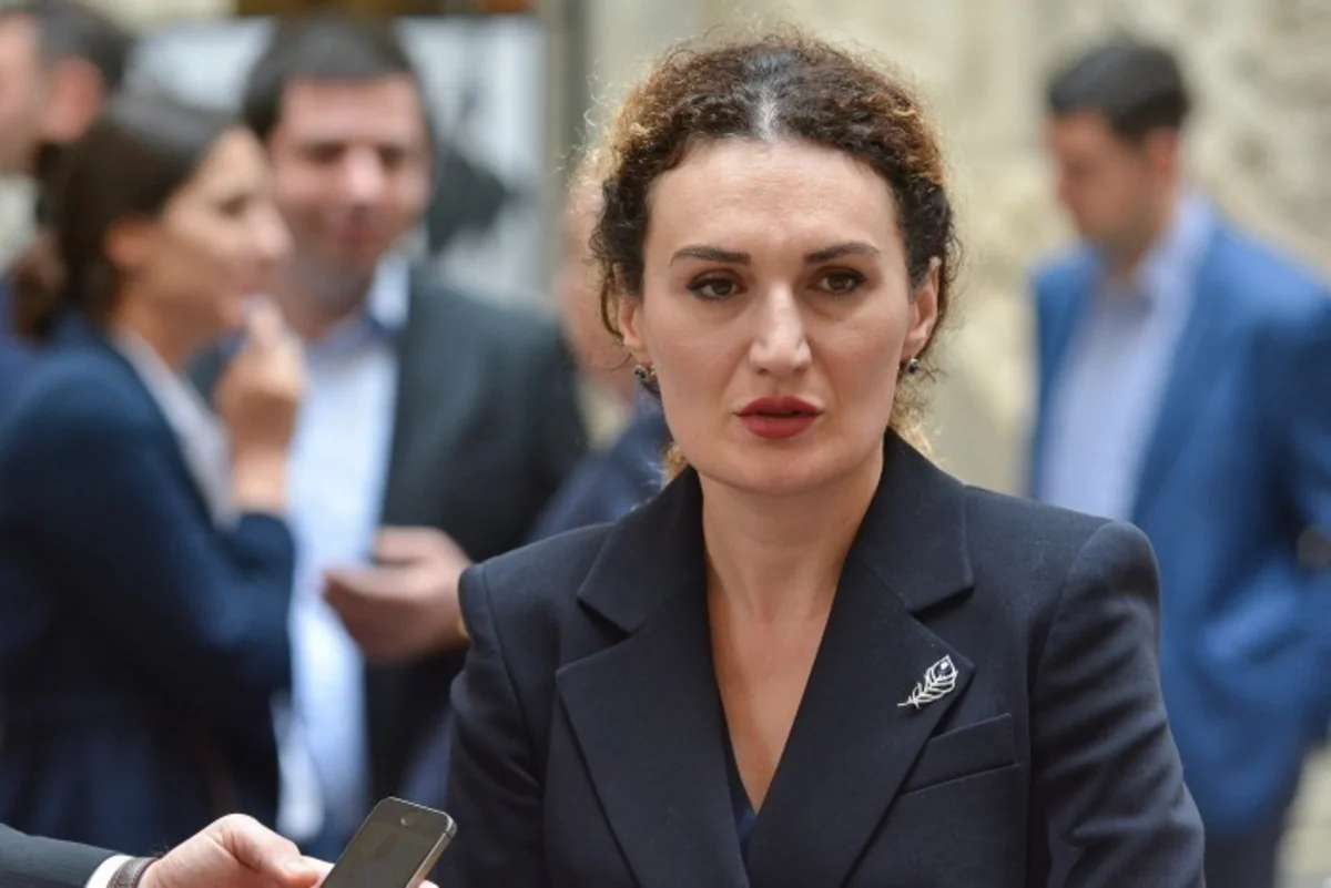 Dövlət naziri: “Gürcüstan bölgədə münaqişələrin həlli üçün sülh platforması rolunu oynamağa hazırdır”
