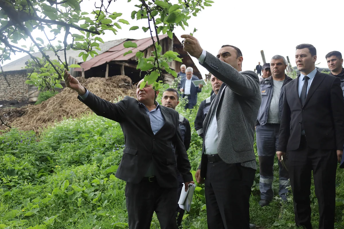 “Daşkəsən və Göygöl rayonlarında aqrar inkişafa dəstək” layihəsi çərçivəsində görüşlər keçirilir