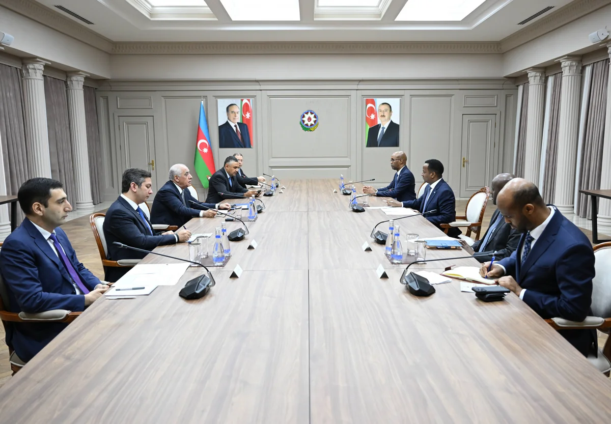 Azerbaijani PM meets with Somali FM