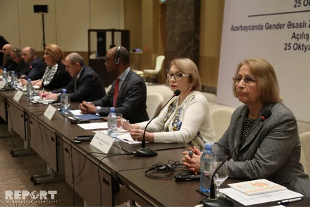 Azərbaycanda gender əsaslı zorakılıqla mübarizə layihəsinin təqdimatı olub