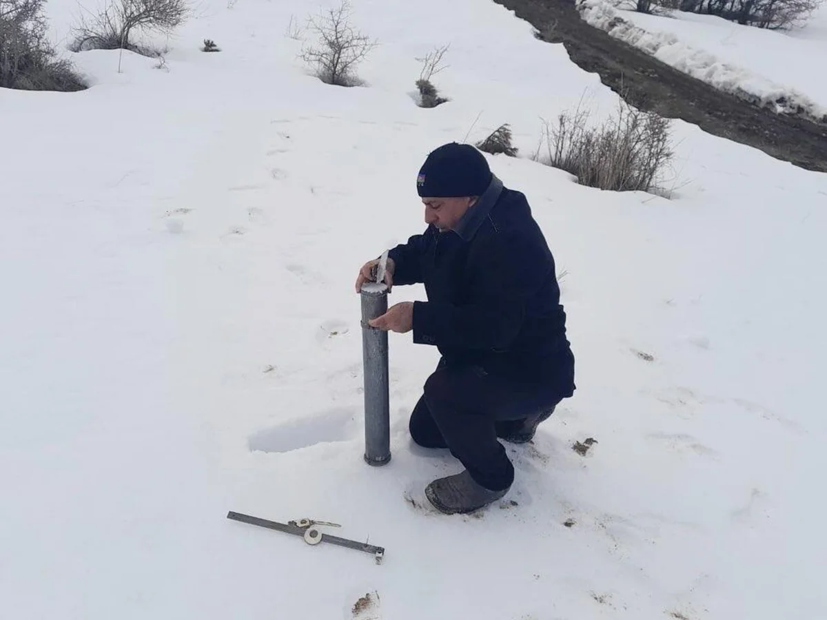 Naxçıvanda qarölçmə işlərinə başlanılıb