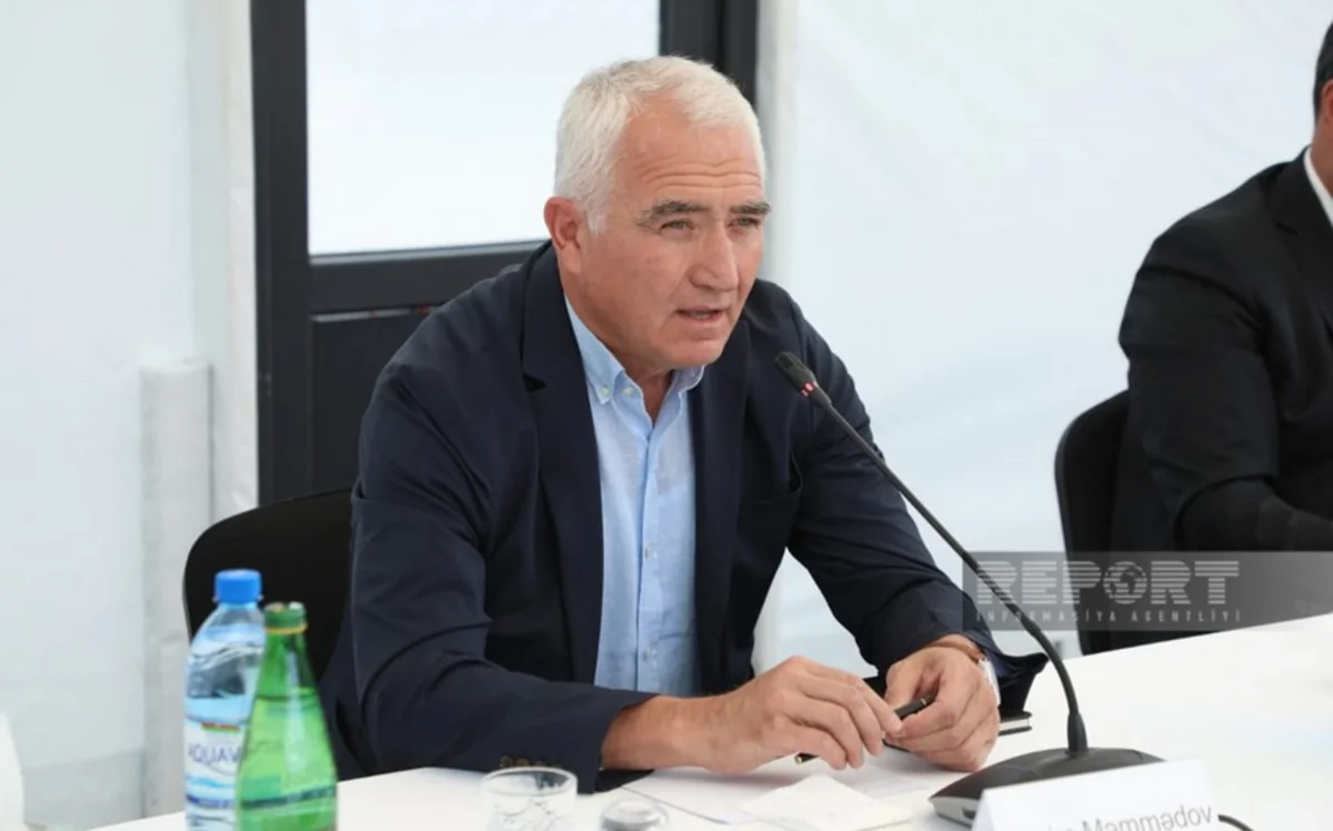 Prezidentin xüsusi nümayəndəsi özəl sektora çağırış edib