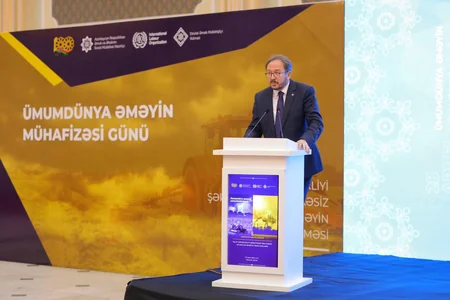 Naxçıvanda Ümumdünya Əməyin Mühafizəsi Gününə həsr olunan konfrans keçirilib - YENİLƏNİB