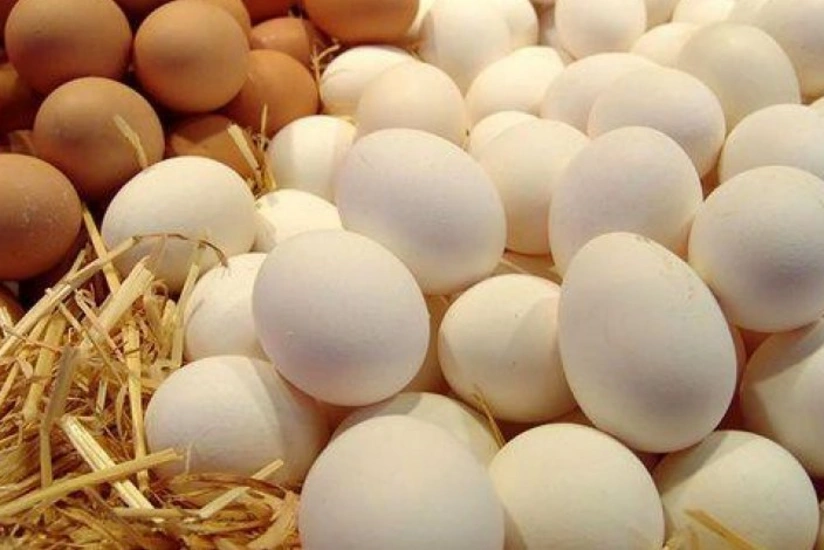 Azərbaycandan Rusiyaya yumurta tədarükü 3,3 milyon ədədə çatıb