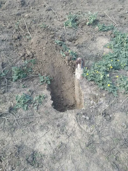 Ağdamda mərmi tapılıb