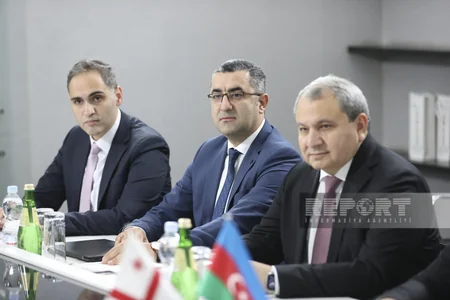 Azerbaijan, Georgia to expand cooperation in science and education