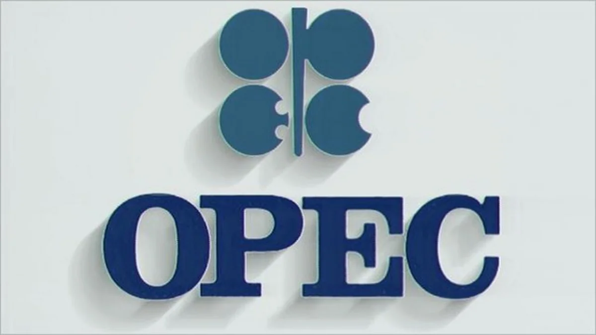 OPEC baş katibi ABŞ şist neft hasilatçıları ilə danışıqlar aparacaq