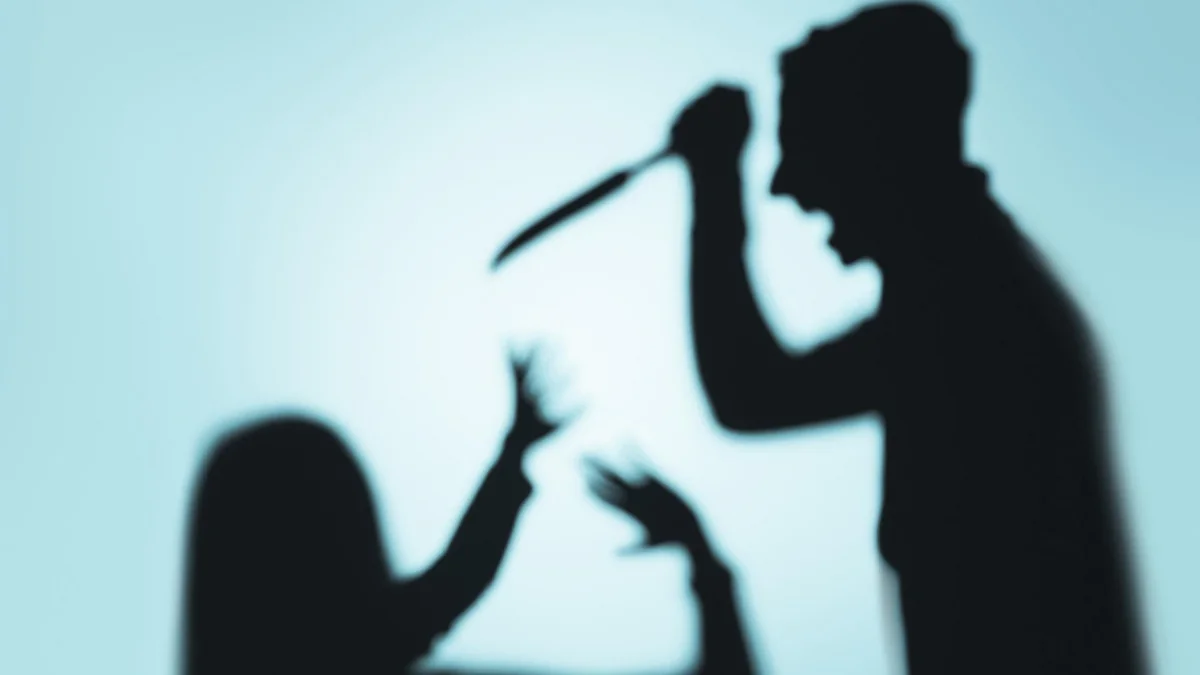 Tovuz sakini toydan 10 gün sonra evdən qaçmaq istəyən arvadını bıçaqladı - TƏFƏRRÜAT - YENİLƏNİB-3