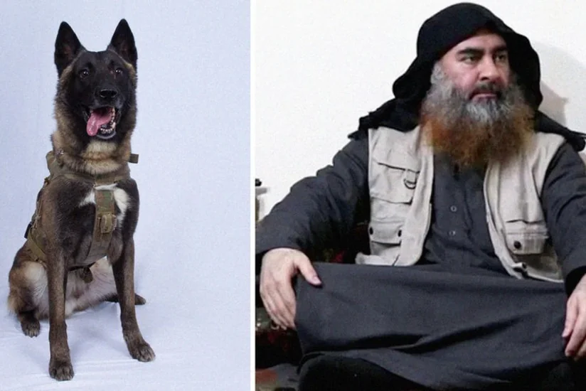 KİV: Tramp İŞİD liderini təqib edən iti Ağ evə dəvət edib - FOTO