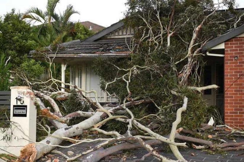 1 dead, over 120,000 homes without power in severe storms in Australia's Queensland