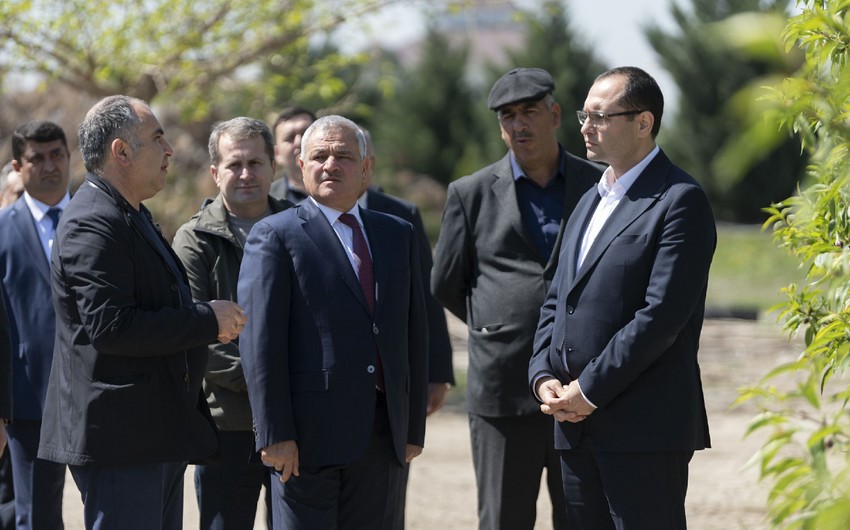 Məcnun Məmmədov Tərtər və Bərdədə təsərrüfatların fəaliyyəti ilə tanış olub