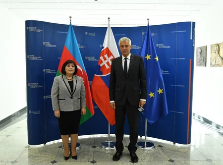 Azerbaijani speaker meets with Slovakian FM 
