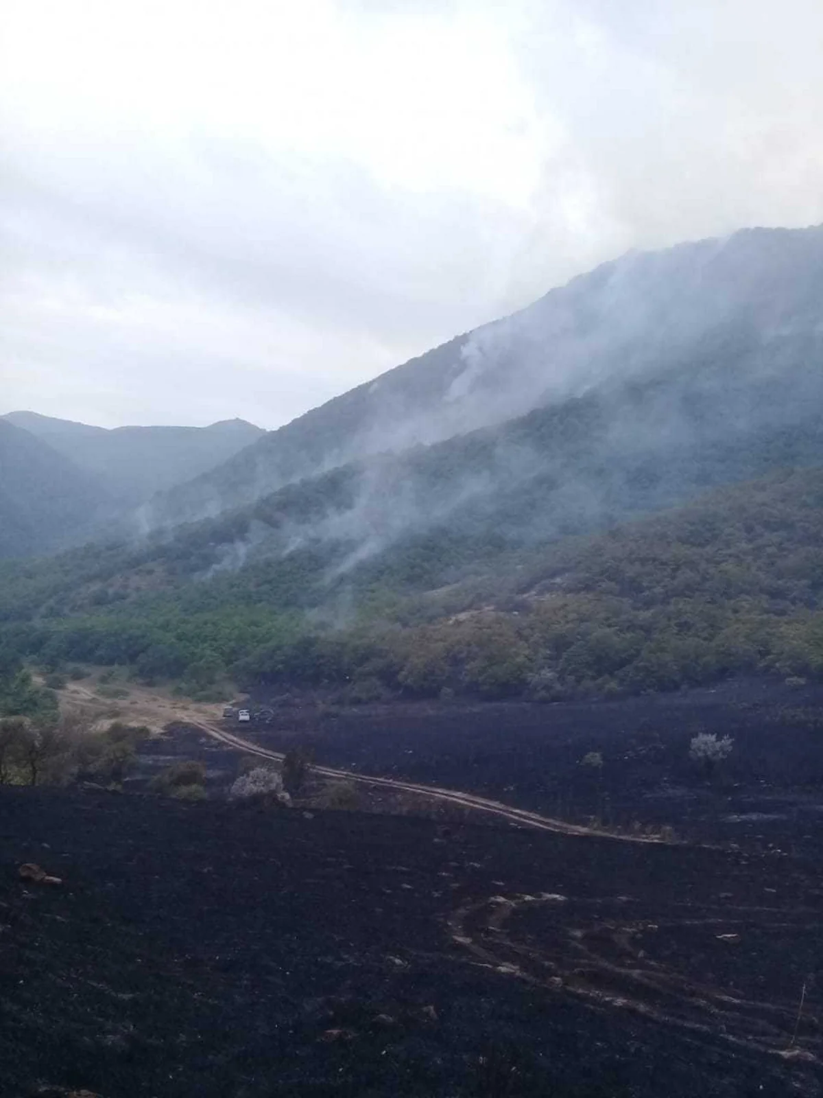 Qalaaltı və Şabran rayonunun Çıraqqala kəndlərinin yaxınlığında meşəətrafı ərazidə yanğın başlayıb