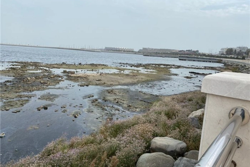 Umayra Tağıyeva: “Son 15 ildə Xəzərin səviyyəsi təxminən metr yarım azalıb”