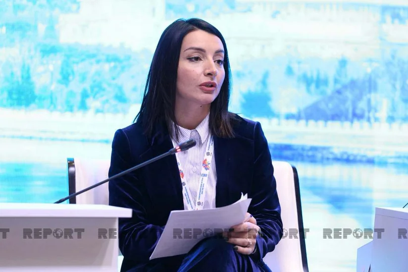 Лейла Абдуллаева: Азербайджан - одна из самых загрязненных минами стран