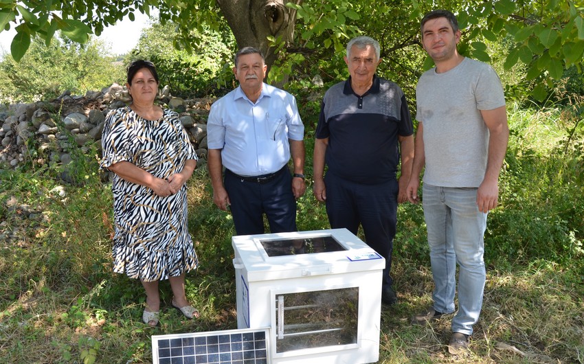 Azərbaycanda bal arılarının gənələrdən təmizlənməsi üçün qurğu hazırlanıb