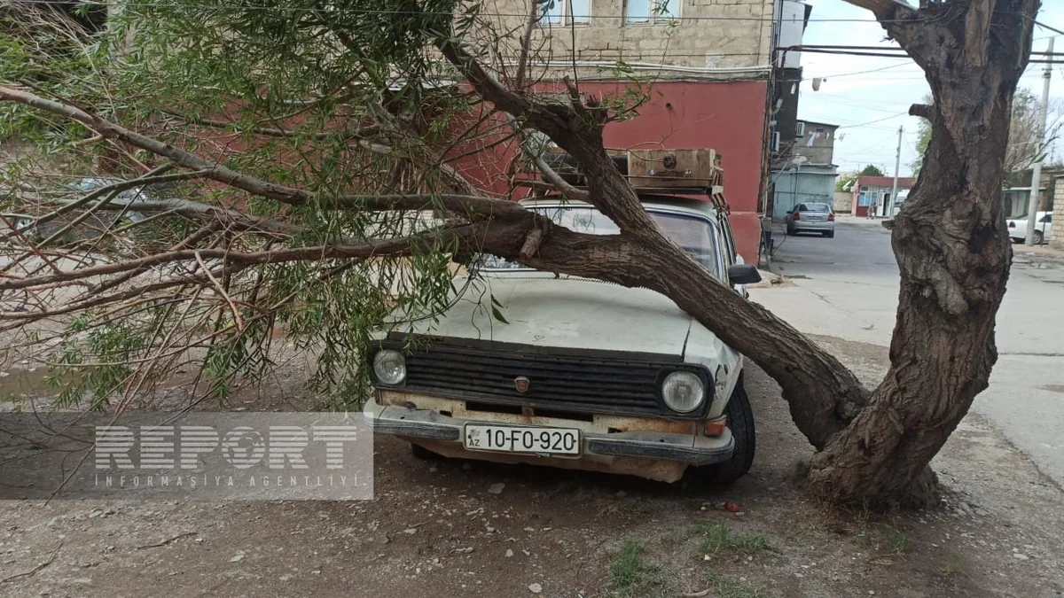 Güclü külək Sumqayıtda bir sıra fəsadlar törədib