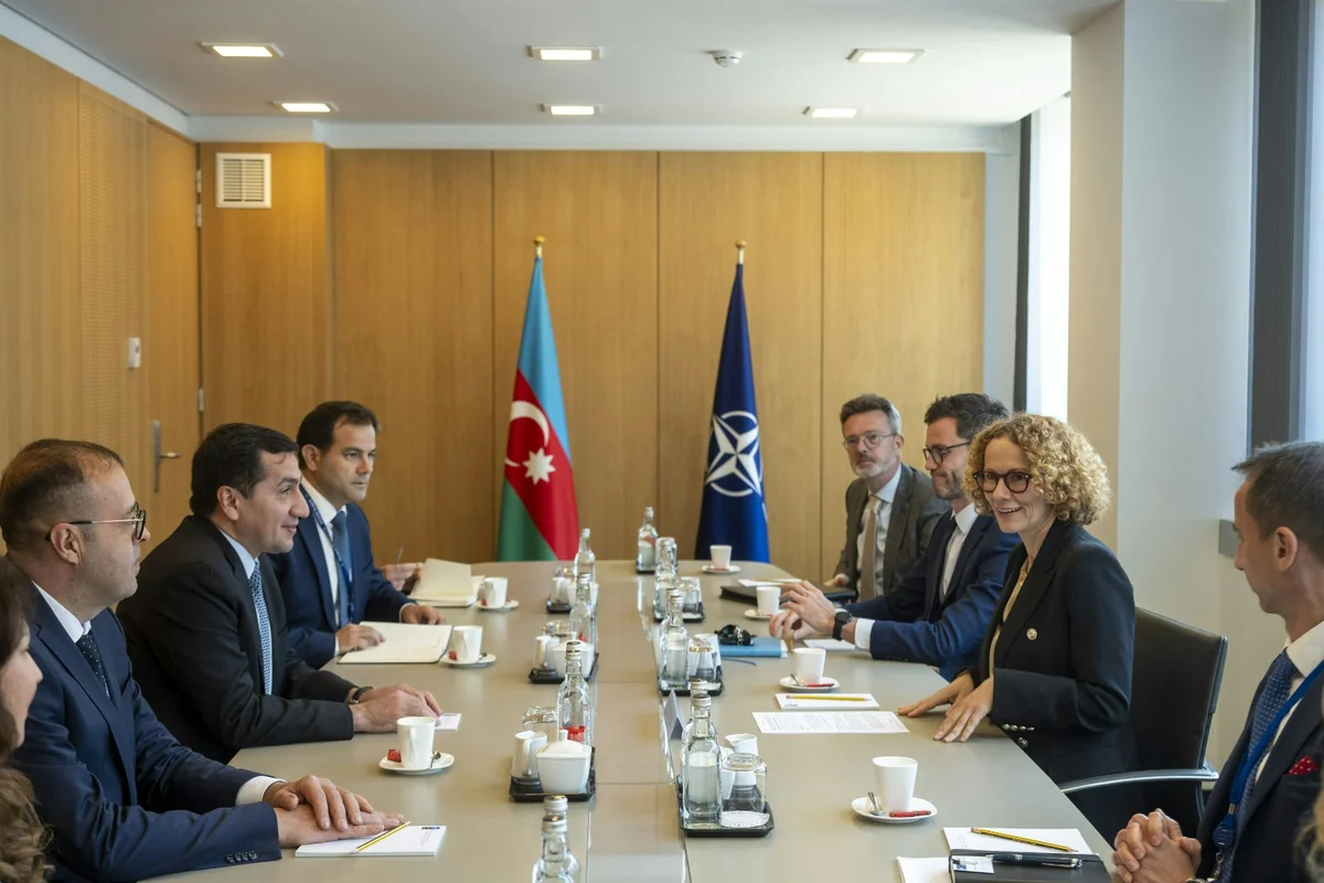 Deputy Sec.-Gen.: NATO values its partnership with Azerbaijan