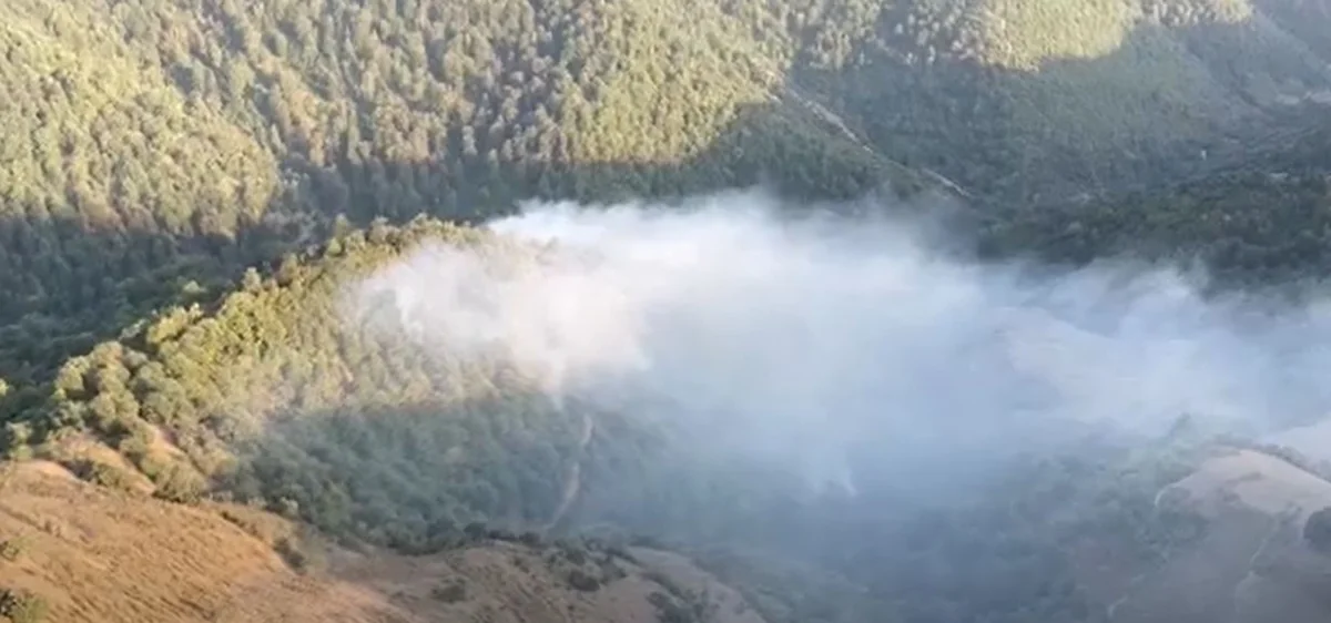 Firefighters battle to put out forest fire in Azerbaijan's Lerik