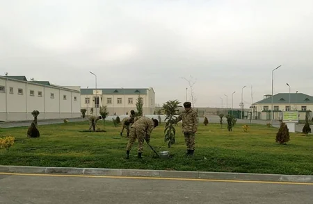 Azərbaycan Ordusunda ağacəkmə aksiyası davam edir