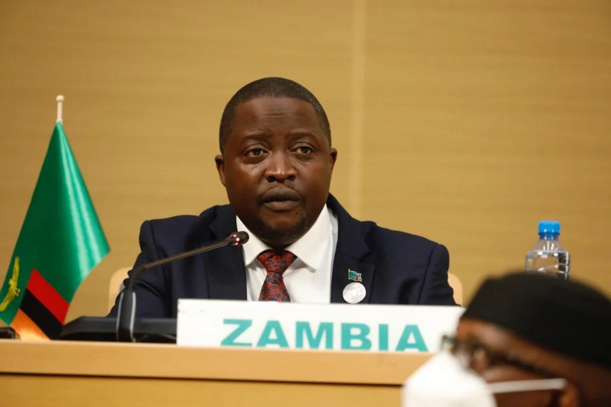 Zambian FM resigns over 'malicious' claims on business deal