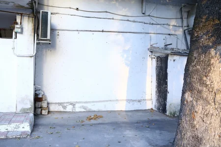 Göyçayda könüllülər maraqlı aksiya keçiriblər