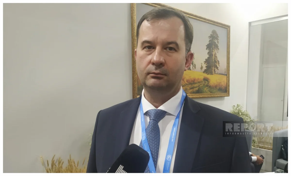 Россия делится опытом: как перейти на экологически чистую экономику - ИНТЕРВЬЮ