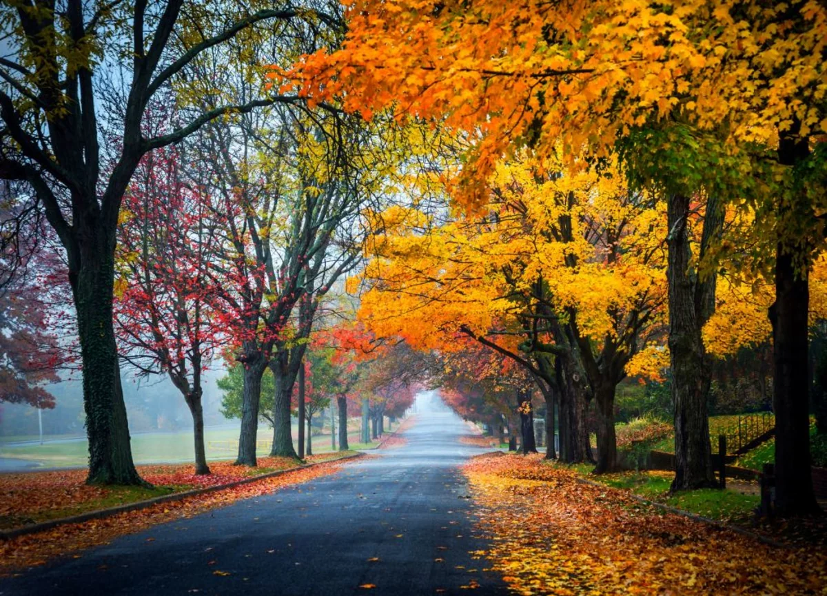 Sabaha olan hava proqnozu açıqlanıb