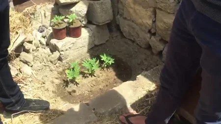 Bakıda 19 kiloqram narkotik vasitə qanunsuz dövriyyədən çıxarılıb