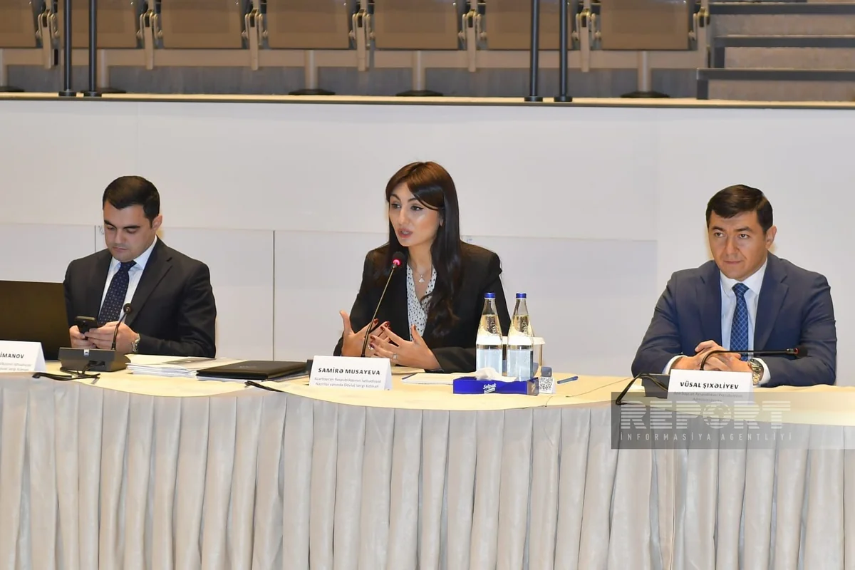 No tax hike for entrepreneurs until 2025, Samira Musayeva says