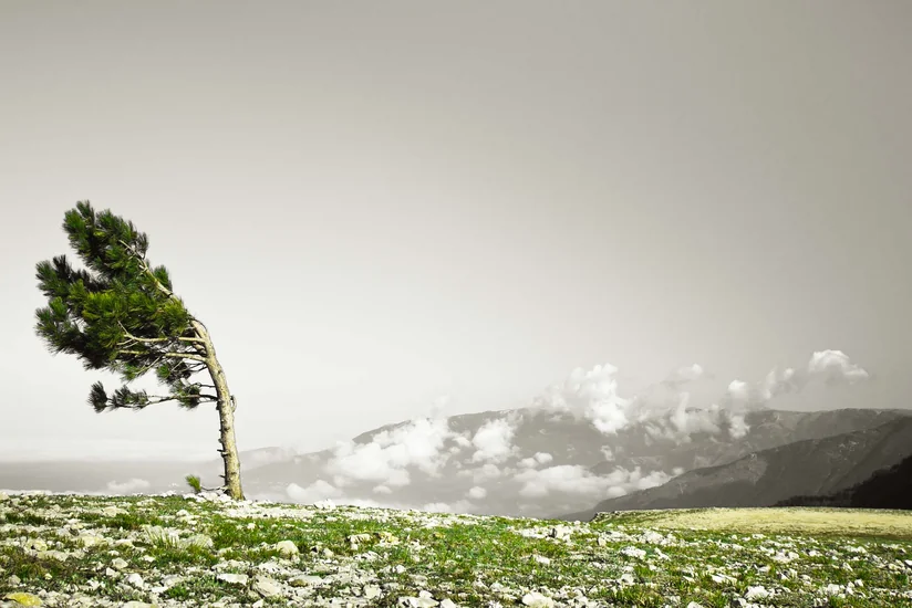 В Азербайджане ожидается усиление ветра