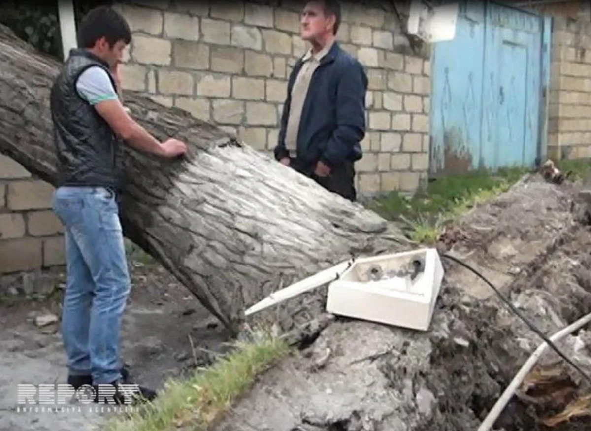 Güclü külək Şimal bölgəsində dağıntılar törədib - FOTO