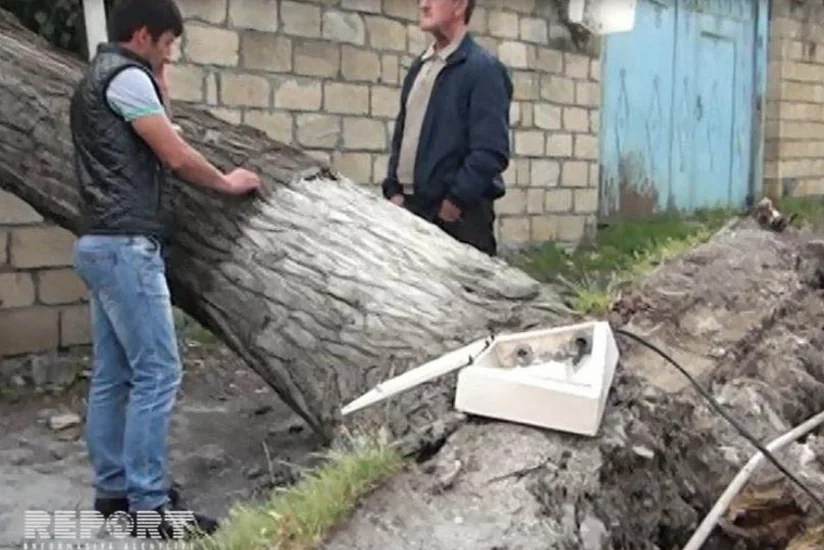 Güclü külək Şimal bölgəsində dağıntılar törədib - FOTO