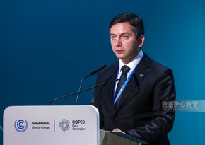 COP29-un baş danışıqçısı: İqlim mövzusunun həddindən artıq siyasiləşdirilməsi gündəliyin qəbulunu çətinləşdirir