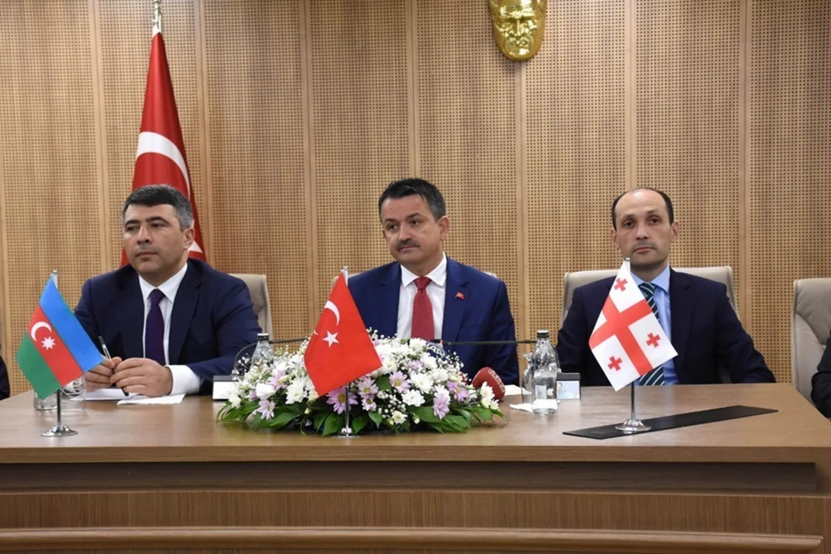Azərbaycan, Türkiyə və Gürcüstan fındıq istehsalı sahəsində daha fəal əməkdaşlıq edəcək