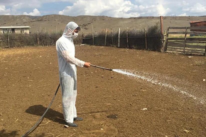 İsmayıllı və Göyçayın diri heyvan satışı bazarlarında dezinfeksiya tədbirləri aparılıb