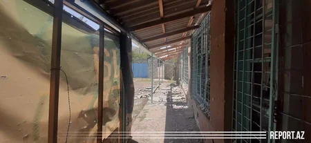 В Товузе мирный житель погиб в результате обстрела ВС Армении