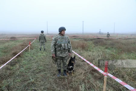 Azad edilmiş ərazilərdə aşkarlanan mina və partlamamış sursatlar məhv edilib