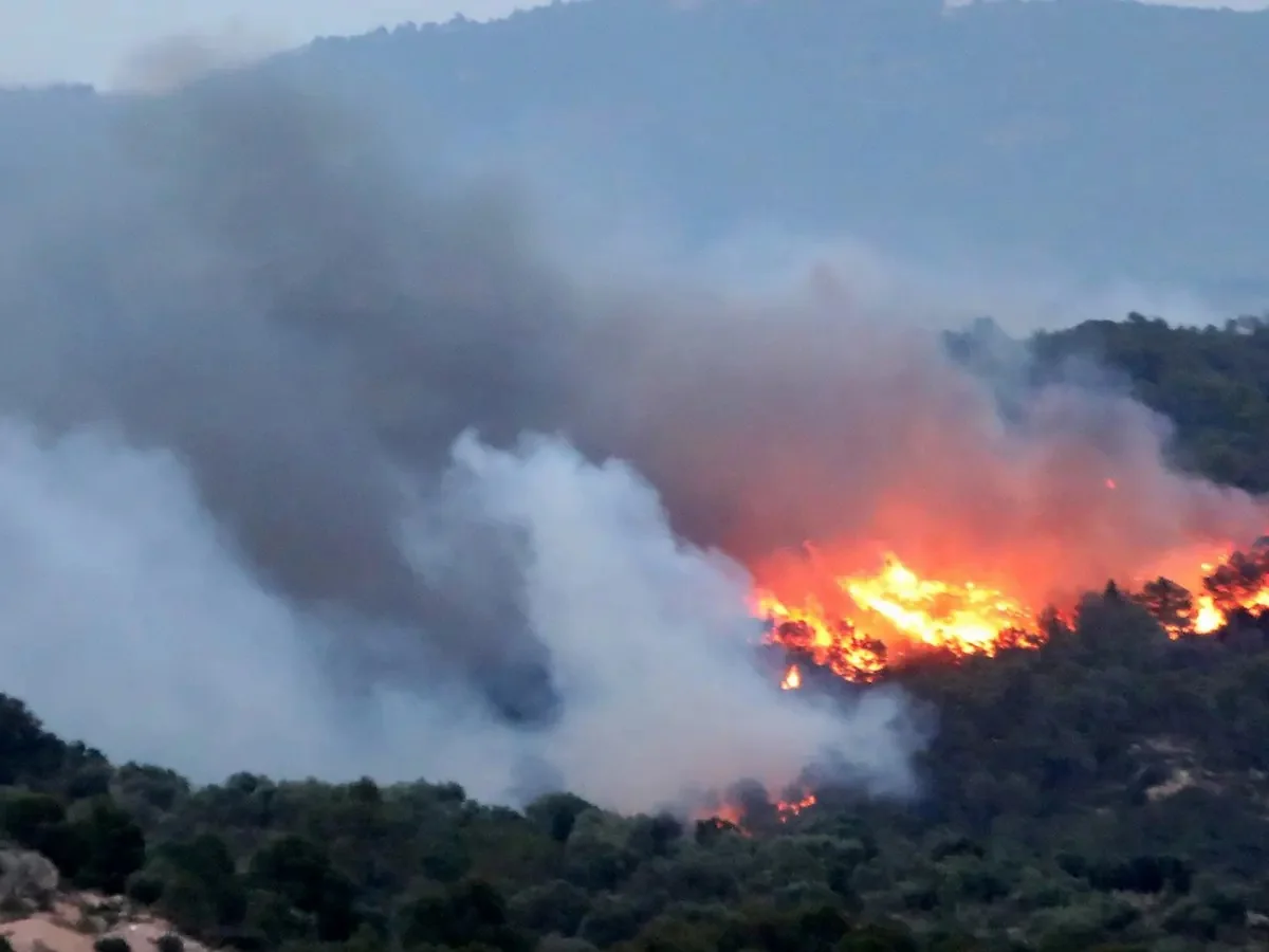 Meşə yanğını səbəbindən Elba adasından azı 700 nəfər təxliyə edilib