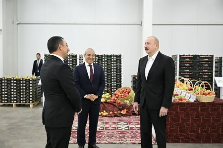 President Ilham Aliyev inspects operations of horticulture and cold storage complex in Gusar District